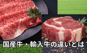 和牛・国産牛・輸入牛の違いとは？味と基準を徹底解説