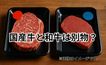 国産牛と和牛は別物？ラベルに隠れた本当の意味eef